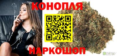гидра Заводоуковск