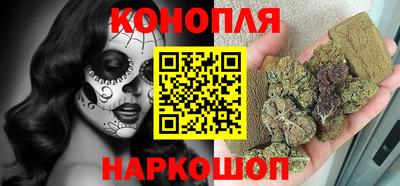 гидра Заводоуковск