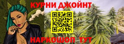 гидра Заводоуковск