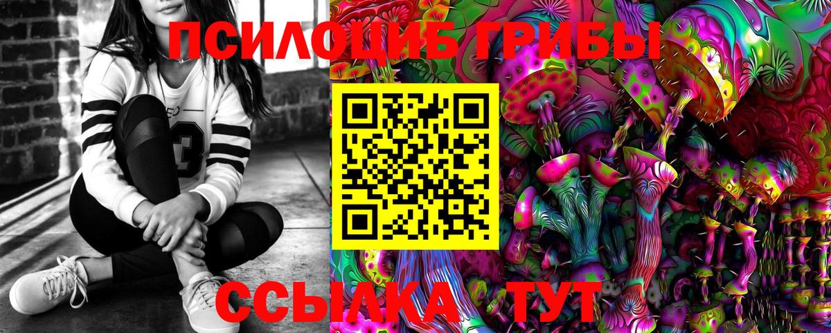 Ленинск-Кузнецкий  Галлюциногенные грибы Psilocybine cubensis  Псилоцибиновые грибы прущие грибы  Вход с VPN 