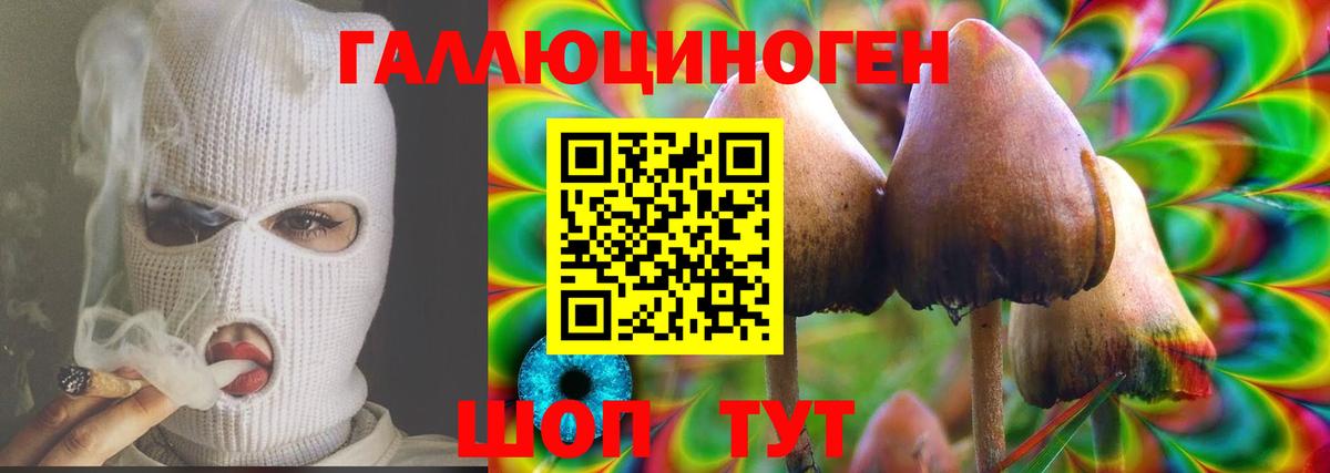 Псилоцибиновые грибы ЛСД Ленинск-Кузнецкий